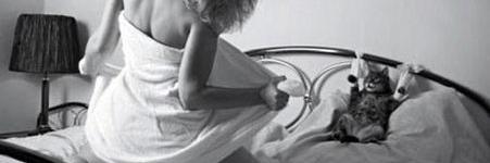 BenallackBelva's profile banner image