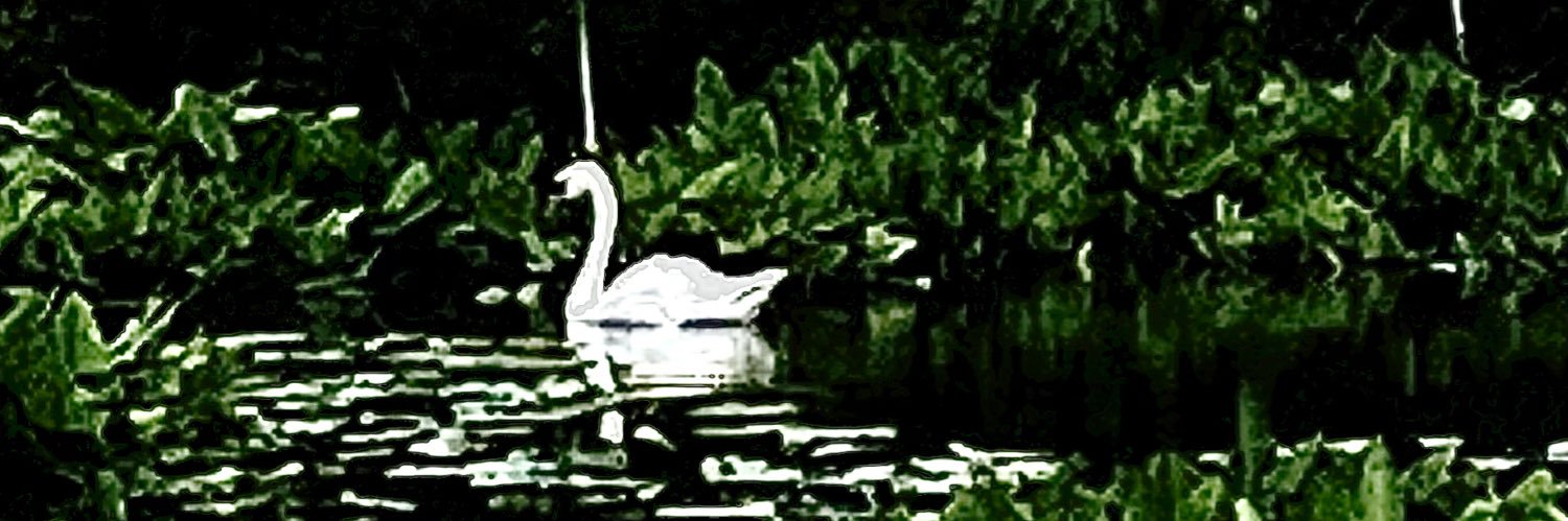 PattyJean53's profile banner image
