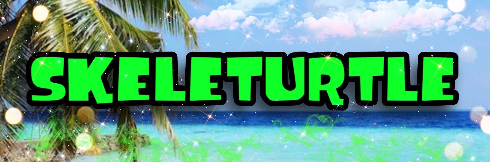 Skeleturtle 🇵🇸 banner