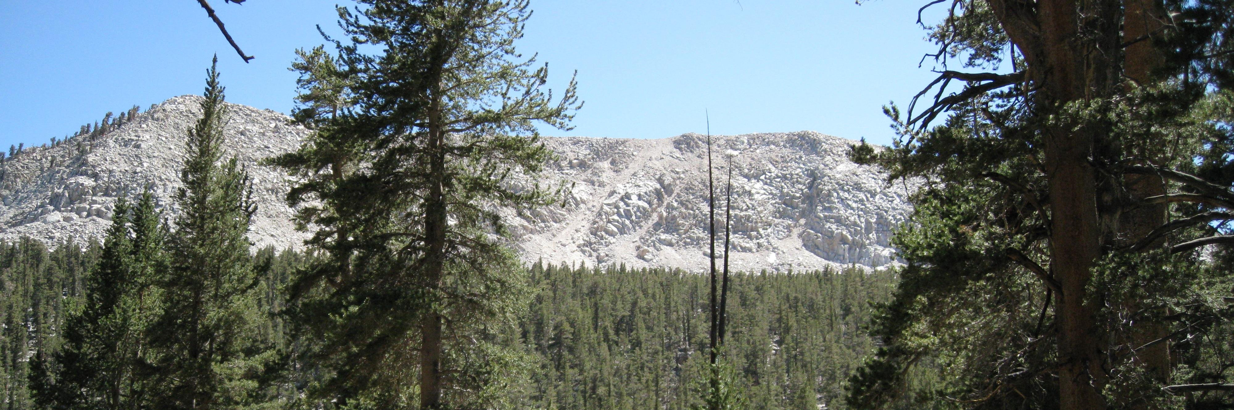 wryanberger's profile banner image