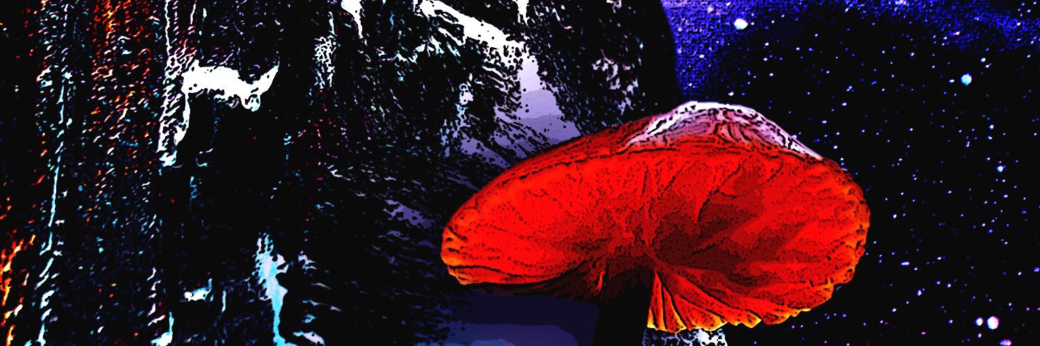 cnfalaska's profile banner image