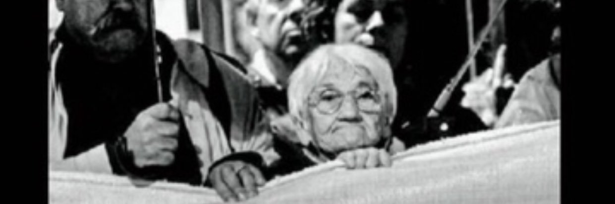 Belutorelli's profile banner image