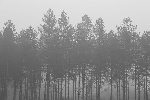 Levkyweb3's profile banner image