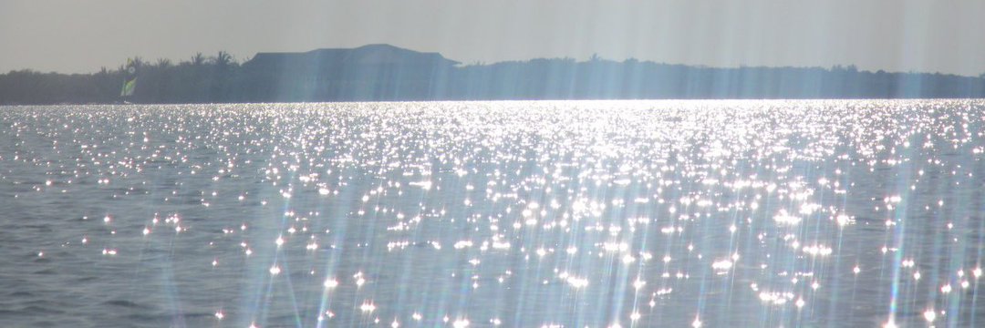 s. banner