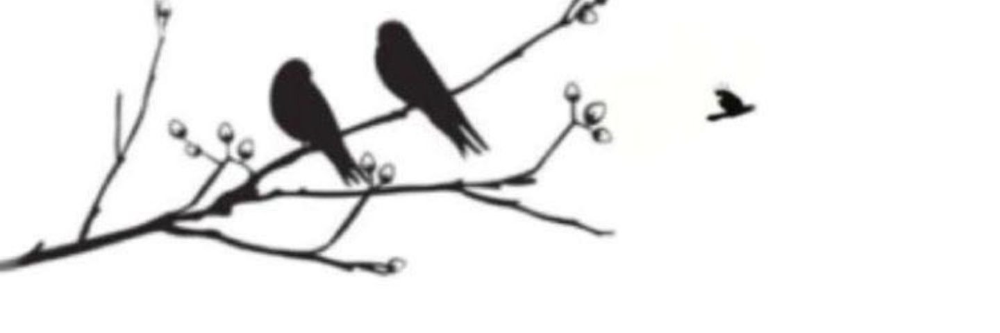 shosho_iii's profile banner image