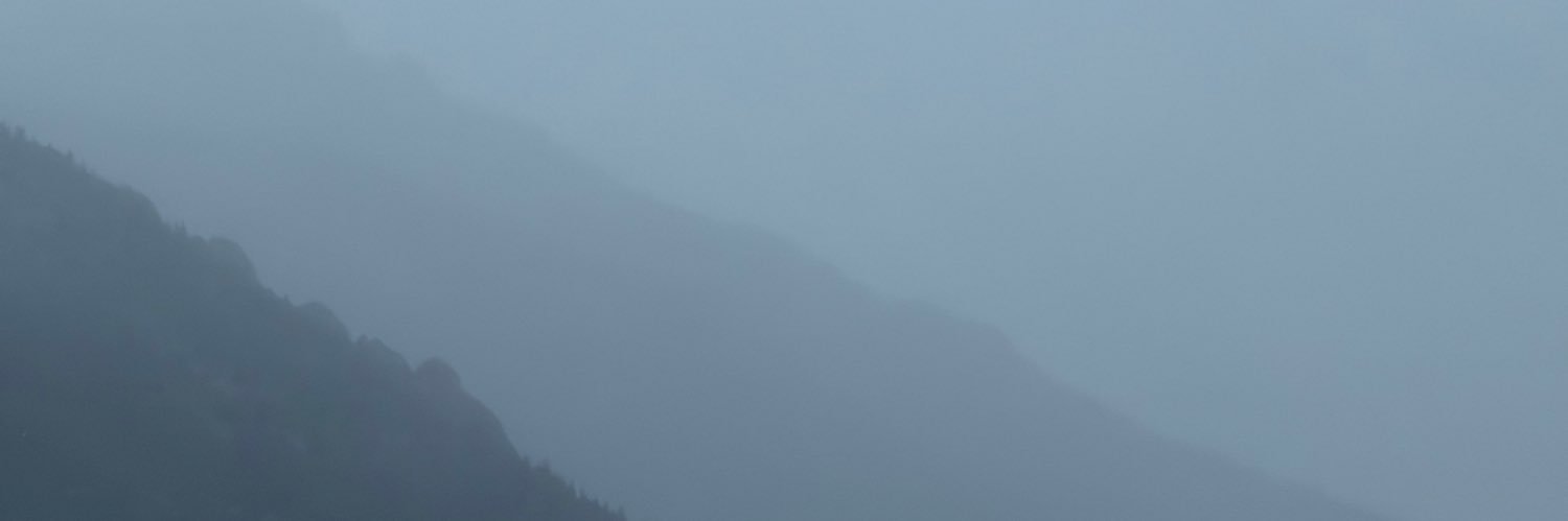 Tanner. banner