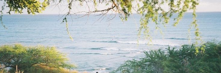 ria 🌿 banner