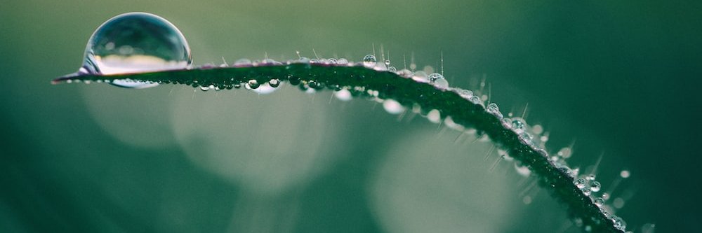 nutals_v's profile banner image