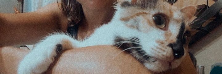 sofiacolombor's profile banner image