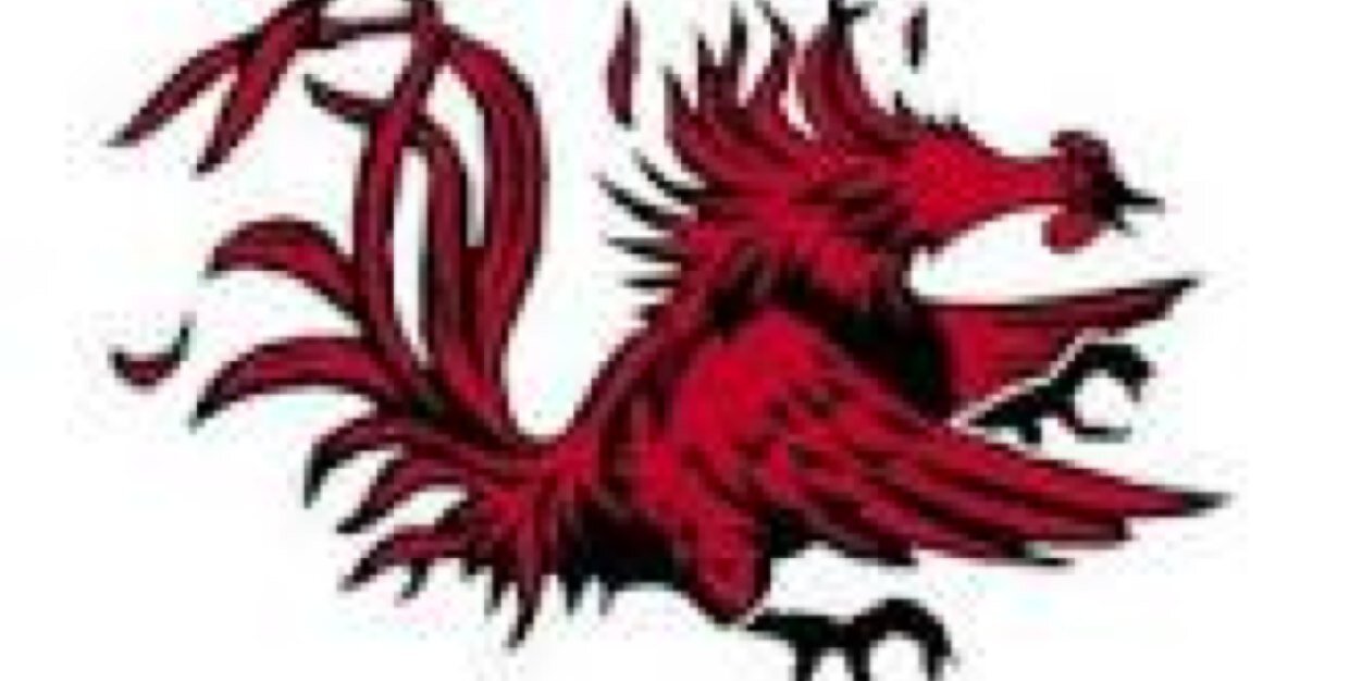 LuvTheGamecocks's profile banner image
