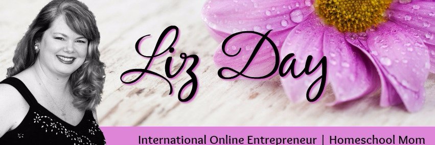 LizDay's profile banner image