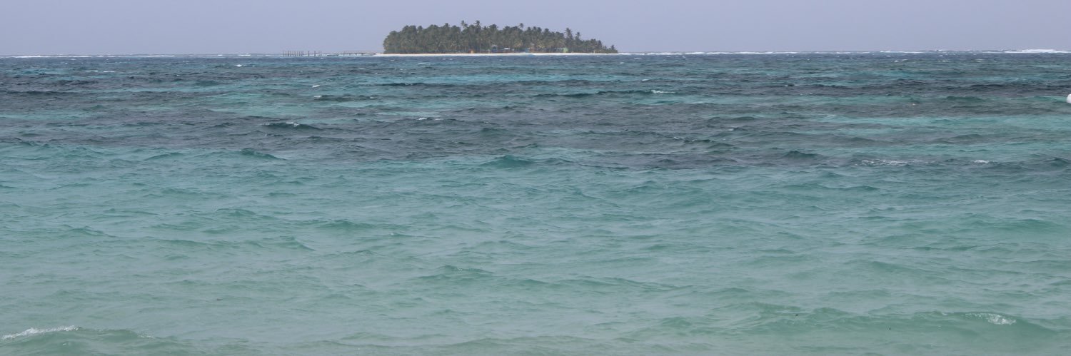 lilpinea's profile banner image
