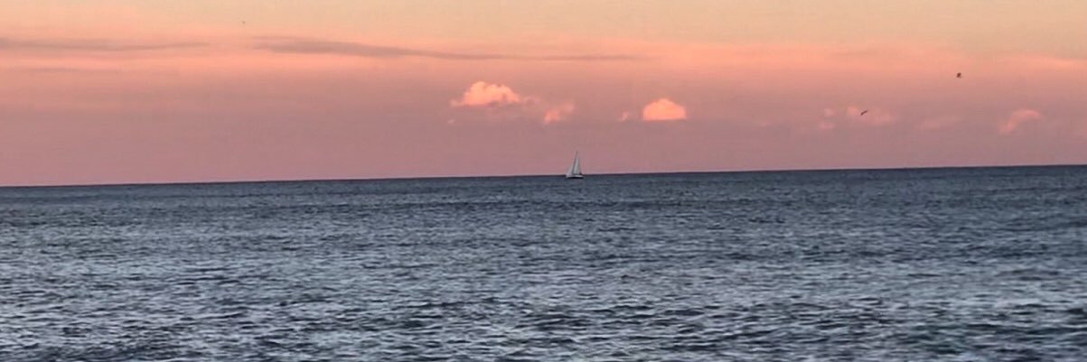 MariaPuchulu's profile banner image