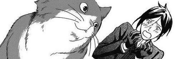 tpiiiiii1 Profile Banner