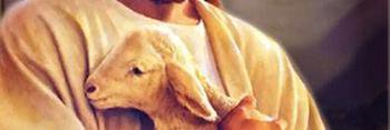 Alfred04654's profile banner image