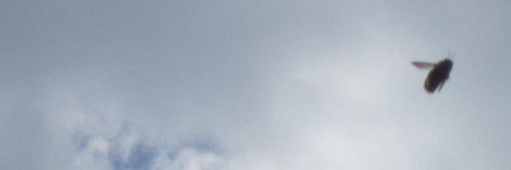 kefra's profile banner image
