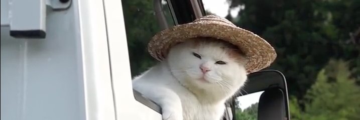 lifesnotfreire's profile banner image