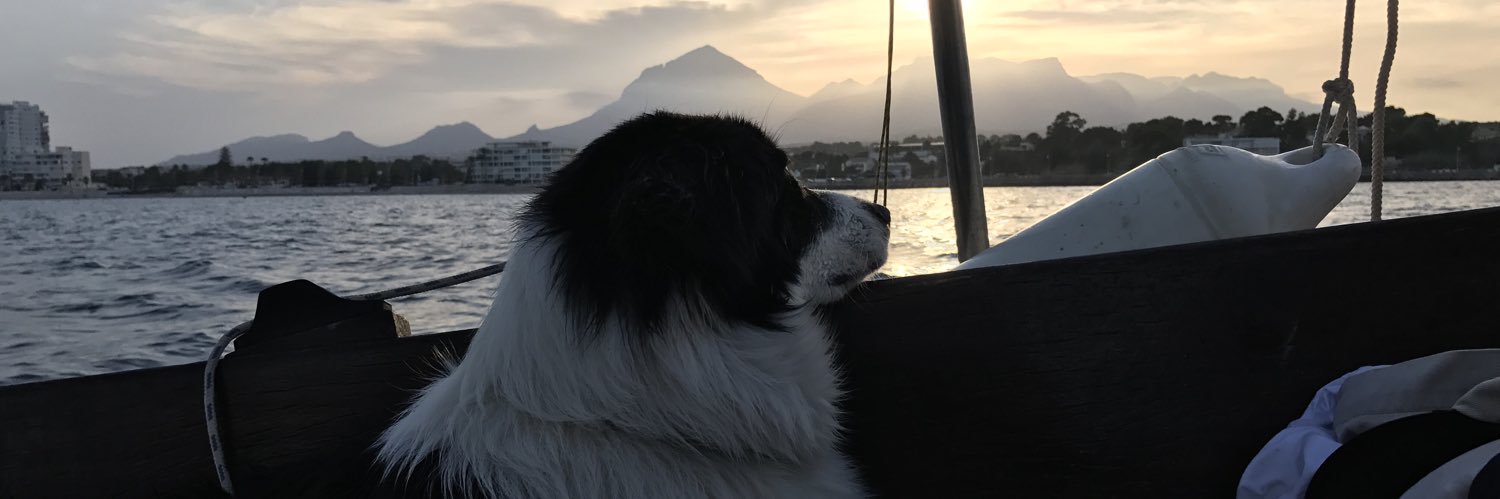 magicpelli's profile banner image