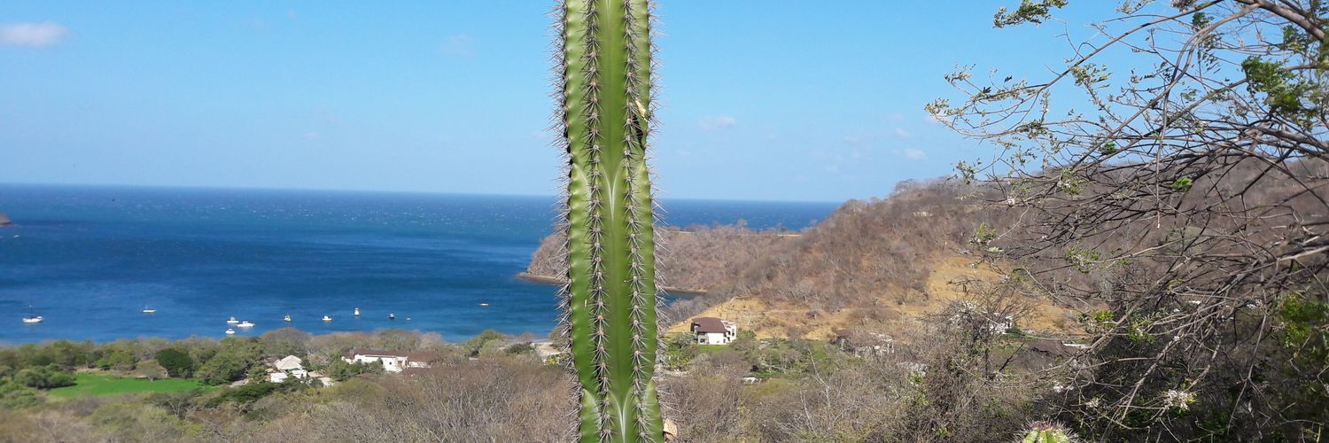 rjimenezca's profile banner image