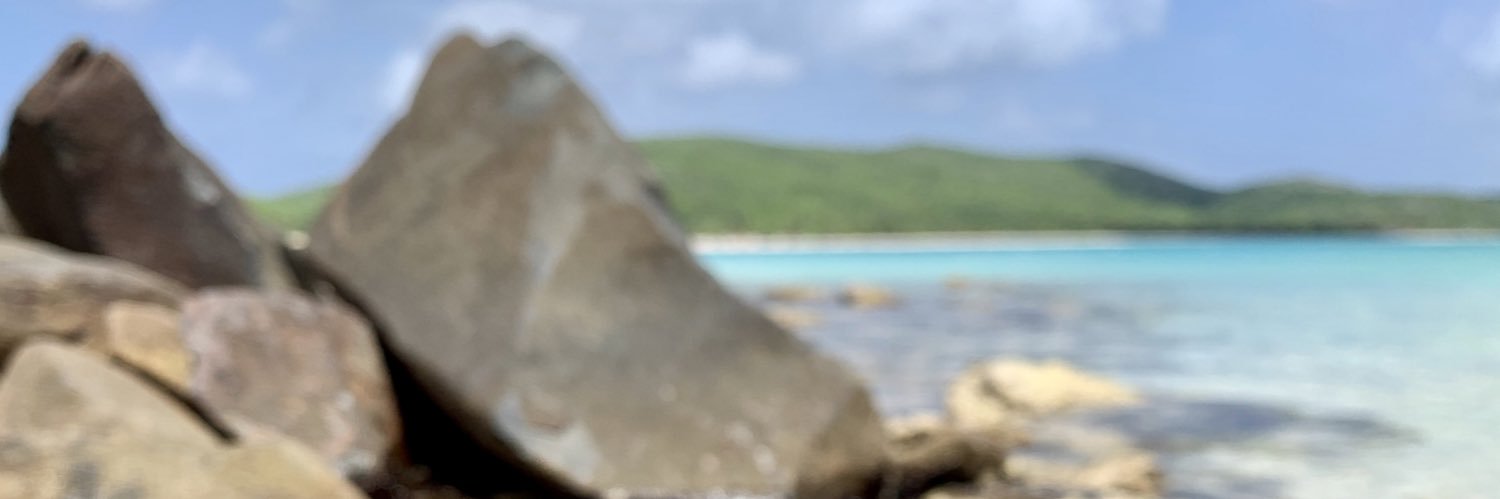 mdeclet10's profile banner image