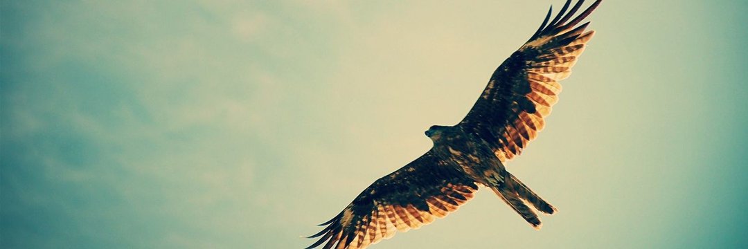 itati369's profile banner image
