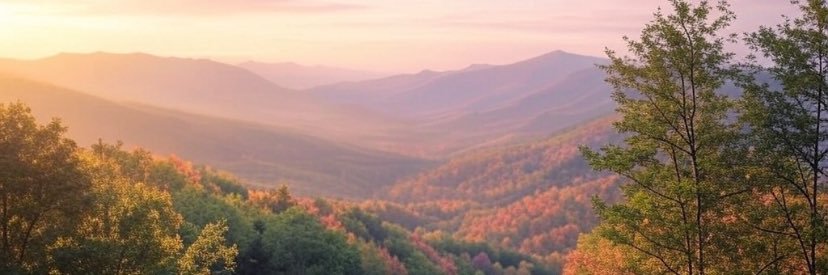 🇺🇸Vicki Kay🇺🇸 banner