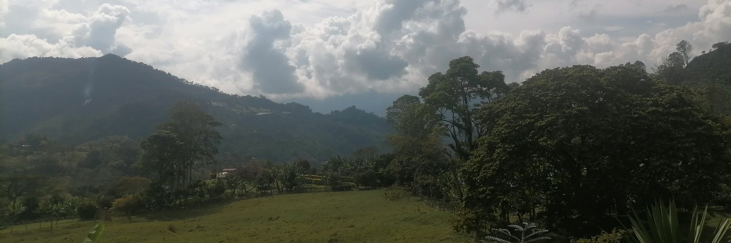karygeisha's profile banner image