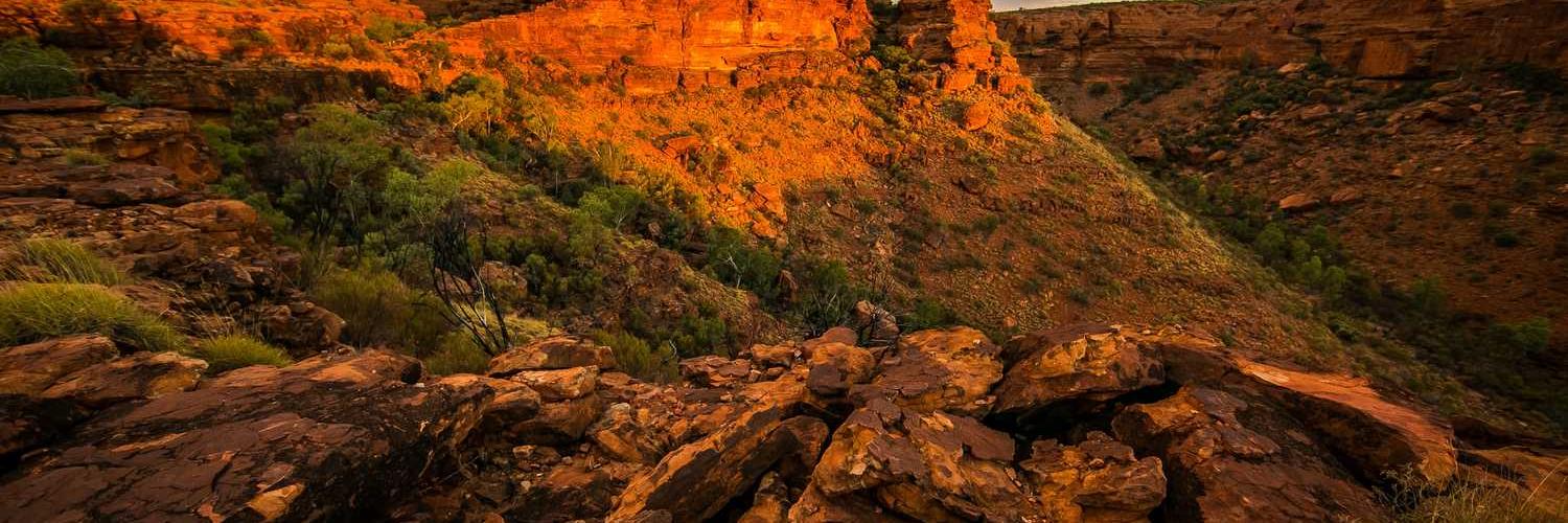 Phil_dezqa❤️ Memecoin banner