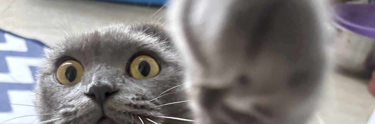 furkansaglamcom's profile banner image