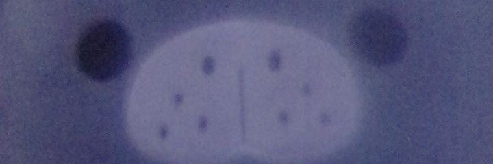 Justintoanime's profile banner image