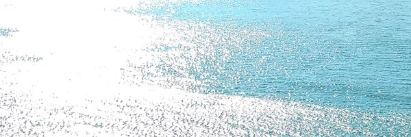 Bccch123 Profile Banner