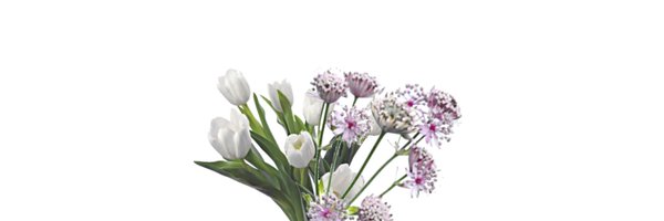 irialyne Profile Banner