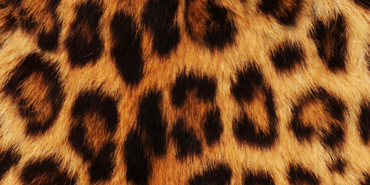 ABeydler's profile banner image