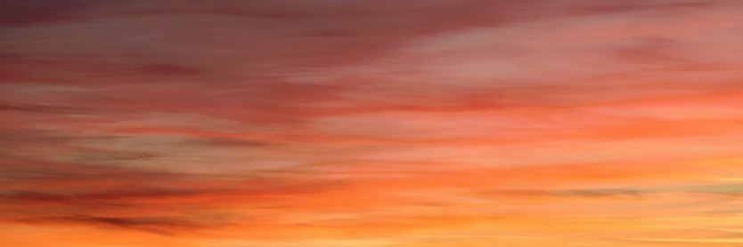 MartaDa48502101's profile banner image