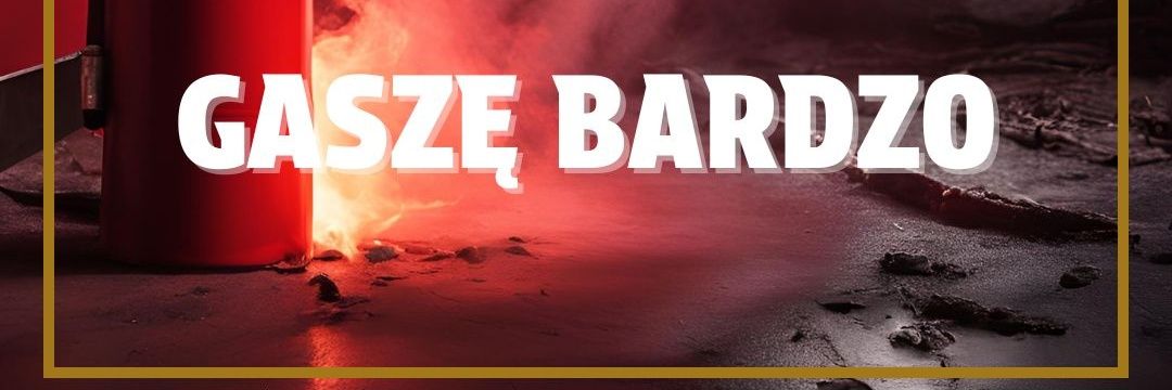 pbudzilo's profile banner image