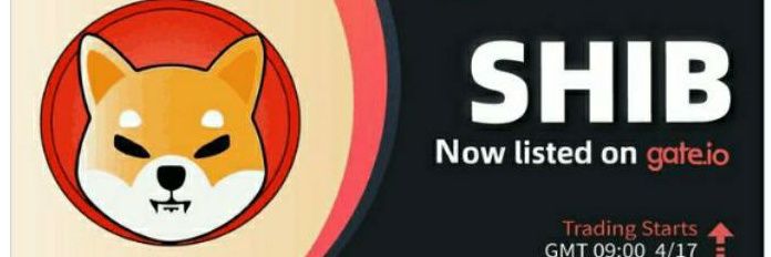 AmindogCrypto's profile banner image