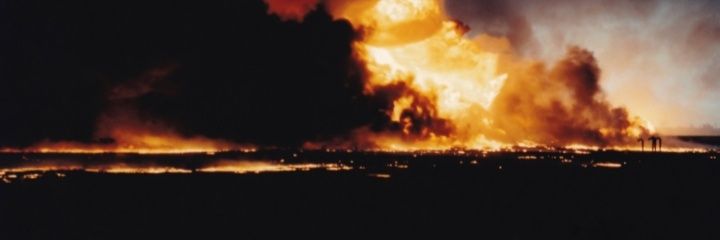 BirdEview's profile banner image