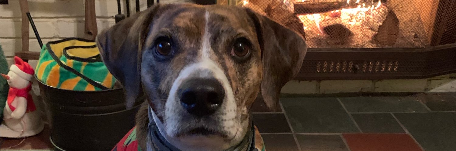 Andrew Kramer banner