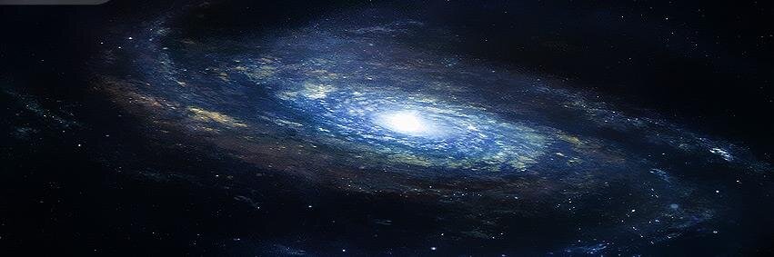 Forrest Senior banner