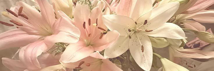 irisblanca_'s profile banner image