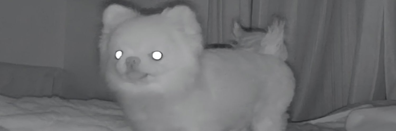 非常食(姫) banner