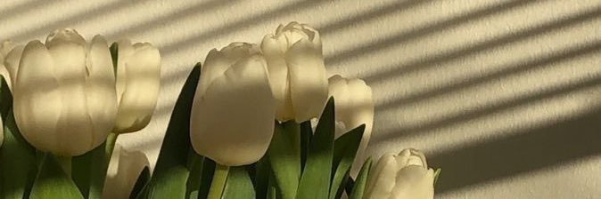 idfwustyles's profile banner image