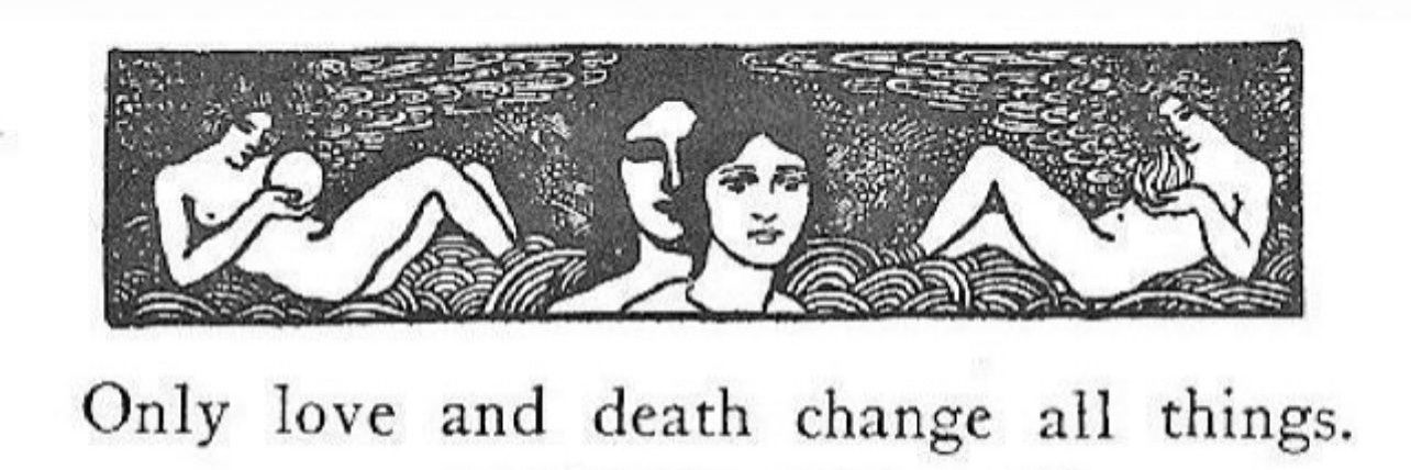 ─•~❉🌹❉~•─ banner