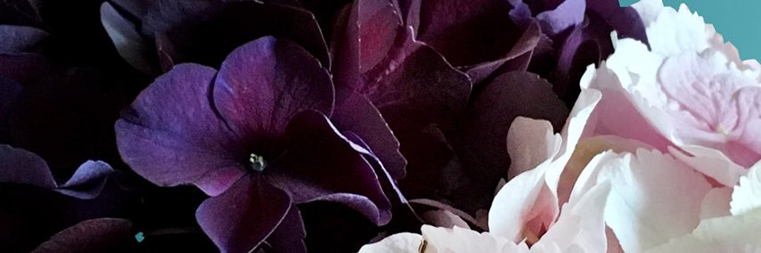 AlePerezMora's profile banner image