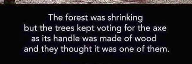 Shane Gore☁️ banner