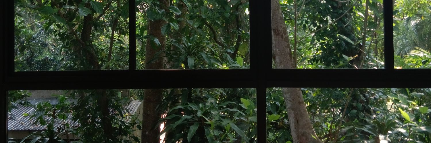 pixiedustofher's profile banner image