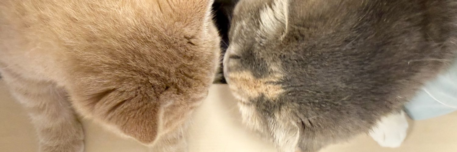 ri_ku6's profile banner image