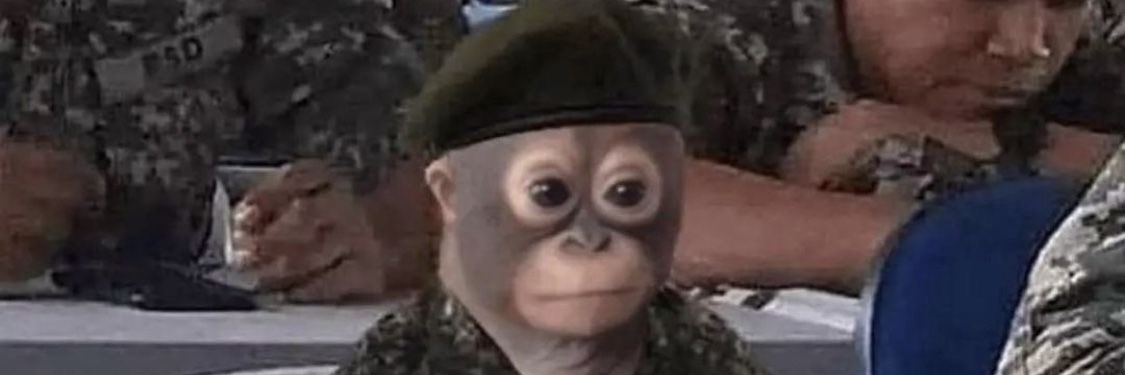 원숭화(디코방 모집중!!) banner