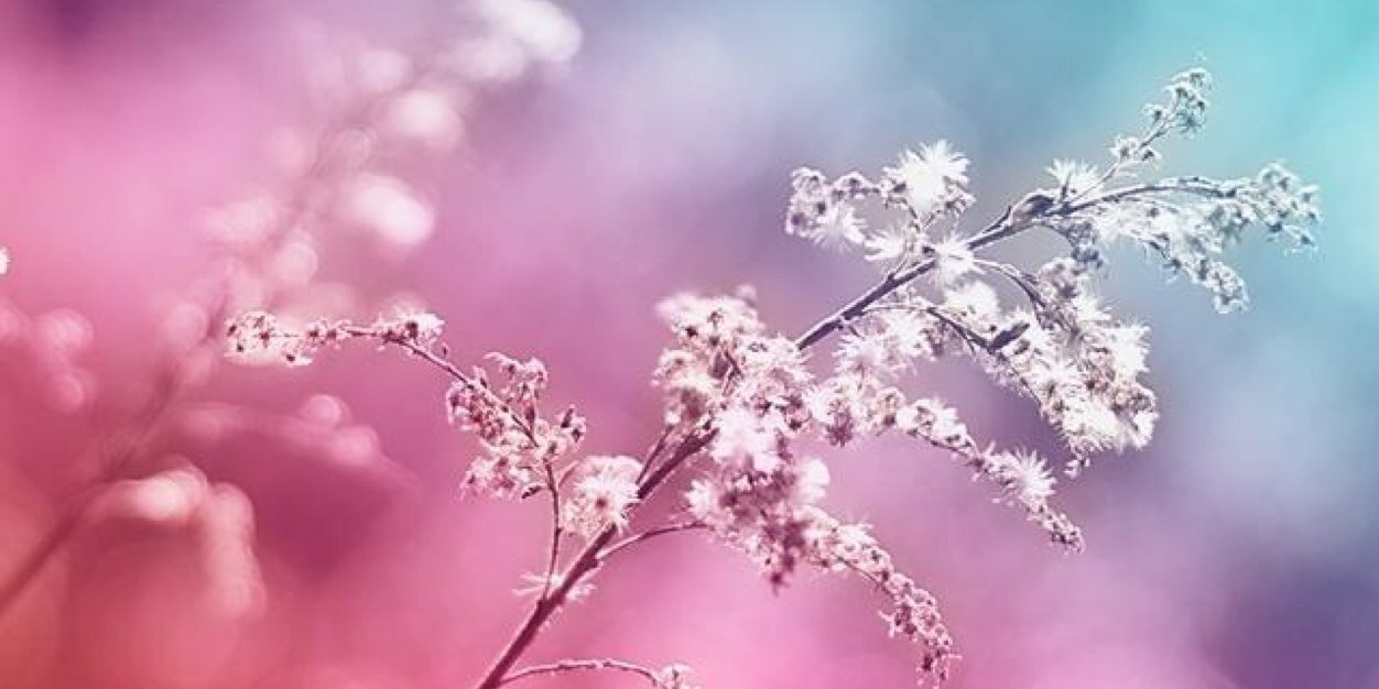 BellaSmartsexy's profile banner image