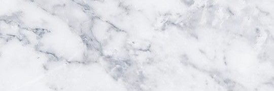カルボ banner